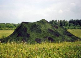 Военные (армейские) маскировочные сети в интернет-магазине в Санкт-Петербурге, купить маскировочную сеть с доставкой картинка 106