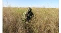 Маскировочный халат Taganrog Кикимора – купить по цене 3550 руб. в интернет-магазине в городе Санкт-Петербург картинка 13
